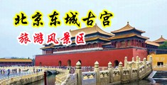 美女黄色日皮网站中国北京-东城古宫旅游风景区